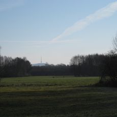 Feuchtwiesen In den Wösten