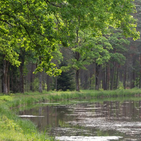 Abschnitt des Ludwig-Donau-Main-Kanals in Schwarzenbruck