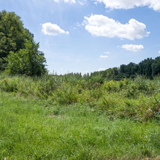 Humbrühl-Rohrmatten