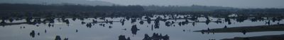 Panoramic View 2