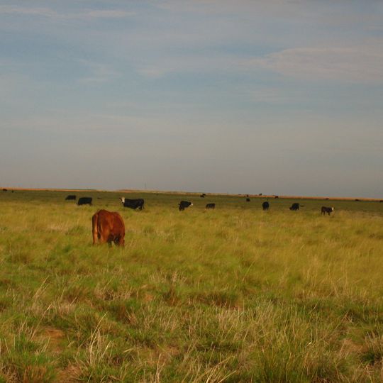 Cochran County