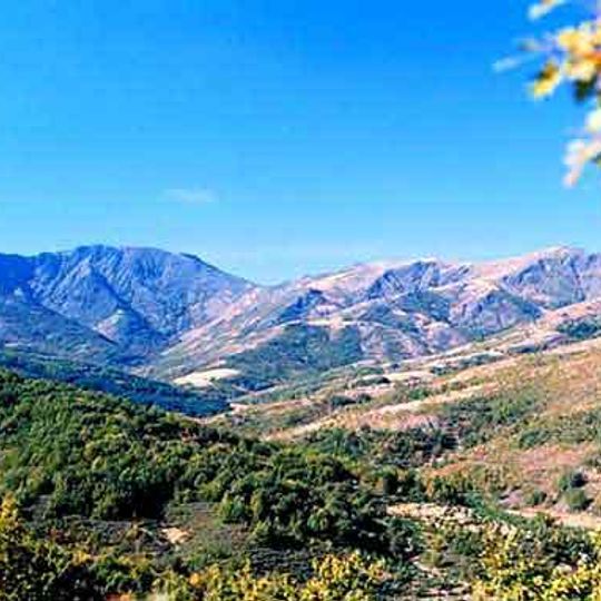 Reserva de caza de Sonsaz