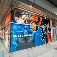 College Basketball Experience
