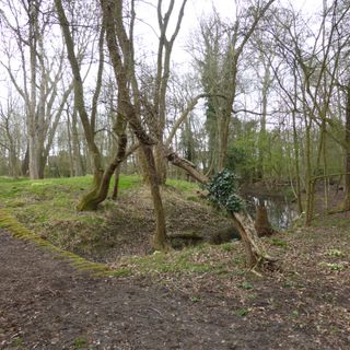 Moated site in Castle Close