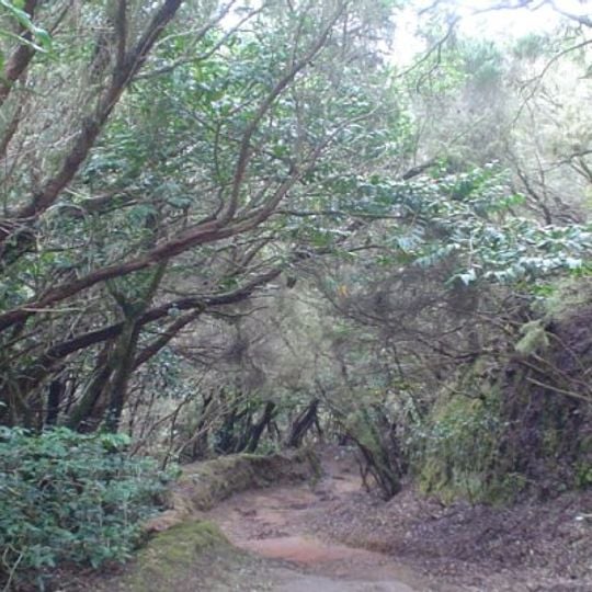 Parco rurale di Anaga