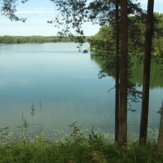 Baluošas