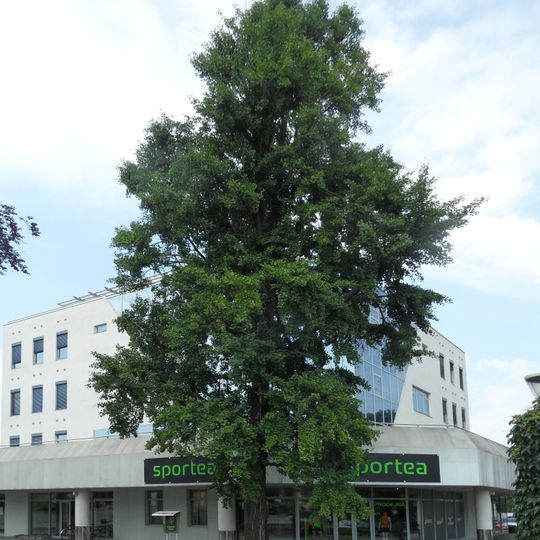 Jinan v Sladkovského ulici