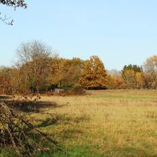 Amerikafeld und Schindkaute bei Steinheim