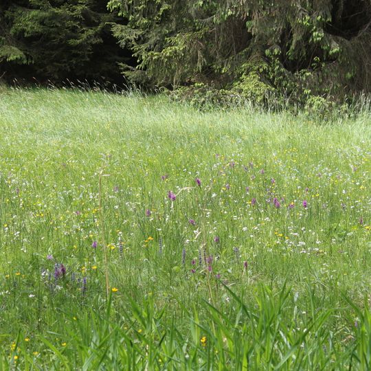 Nemphetal bei Bottendorf