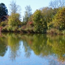 Ammerseeufer und Leitenwälder
