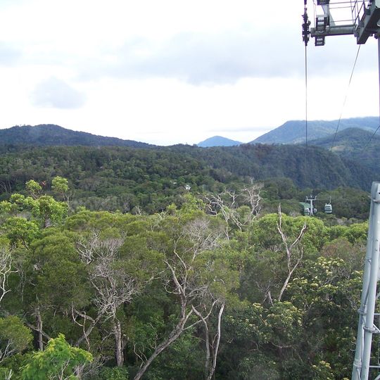 Skyrail Rainforest Cableway