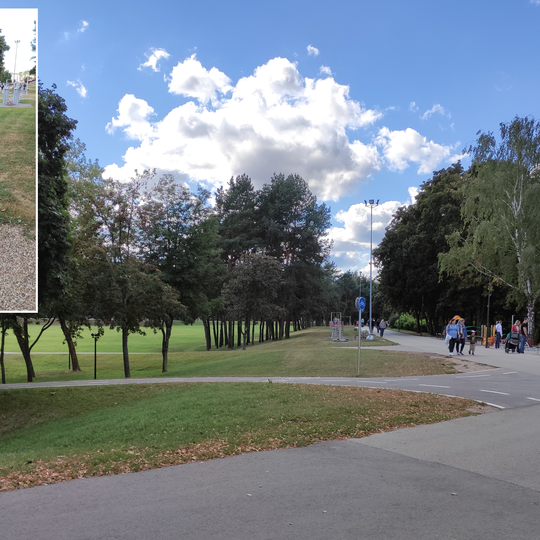 Žmogus-kankorėžis