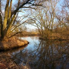 Mainaue zwischen Eltmann und Haßfurt