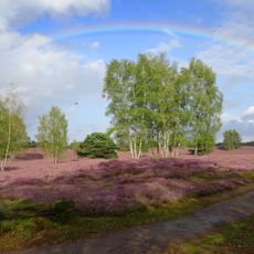 Westruper Heide