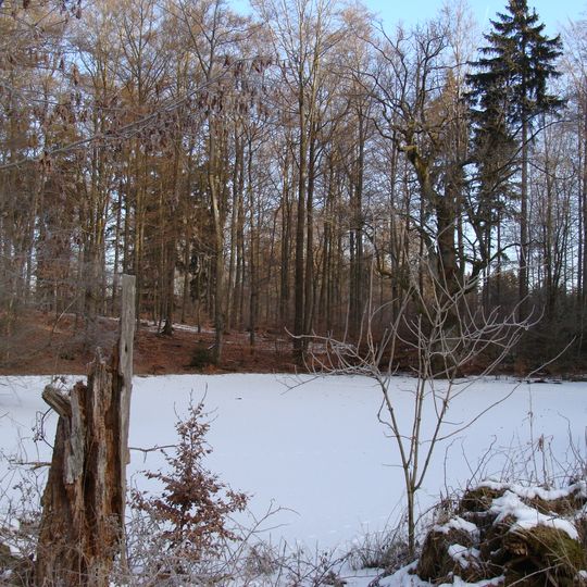 Eiche und Tümpel am Totenpfuhl