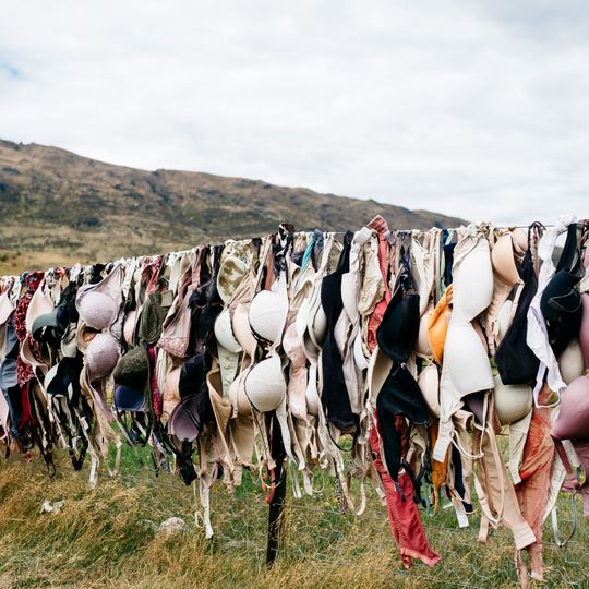 Cardrona Bra Fence