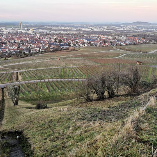 Trockenrasen mit Gebüsch