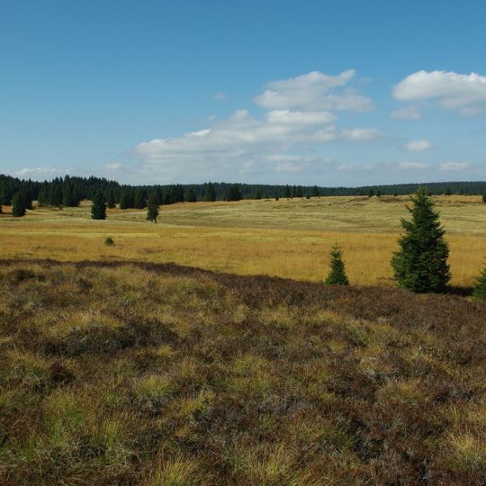 Přebuzské vřesoviště