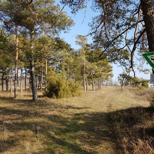 Naturdenkmal Blößberg Blösberg/Auf dem Blößberg