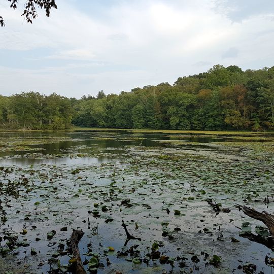 Teatown Lake Reservation