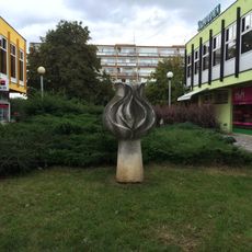 Rozvíjející se květ