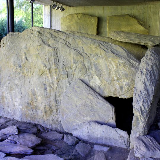 Dolmen von Petit-Chasseur