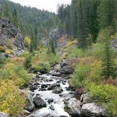 Gospel Hump Wilderness