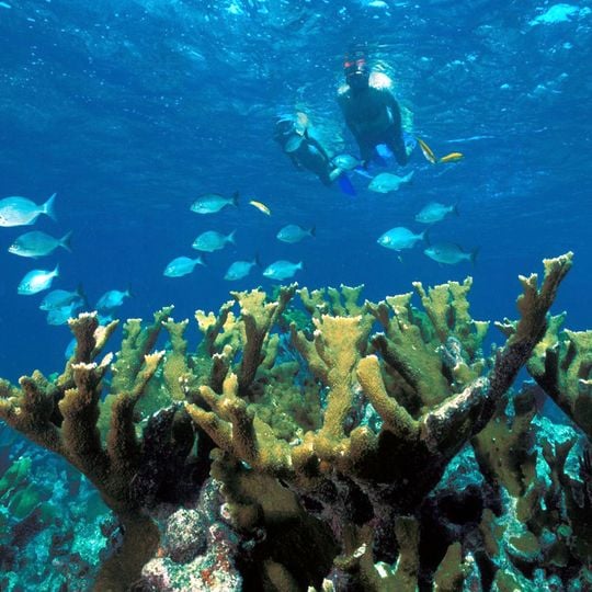 Biscayne National Park