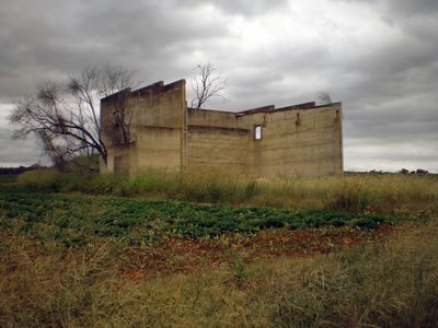 Immagine alternativa