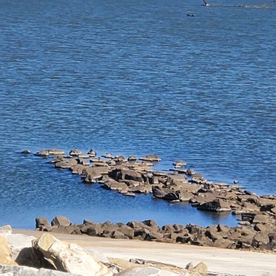 Lake Eufala Dam ORV Area