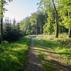 Wälder bei Blomberg