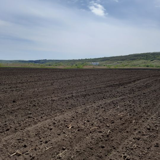 Așezare - Ruseștii Noi