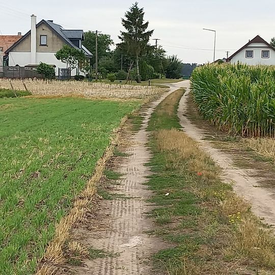 Ostrówek, Wieluń County