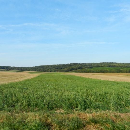 Römische Villa Seeschlachten