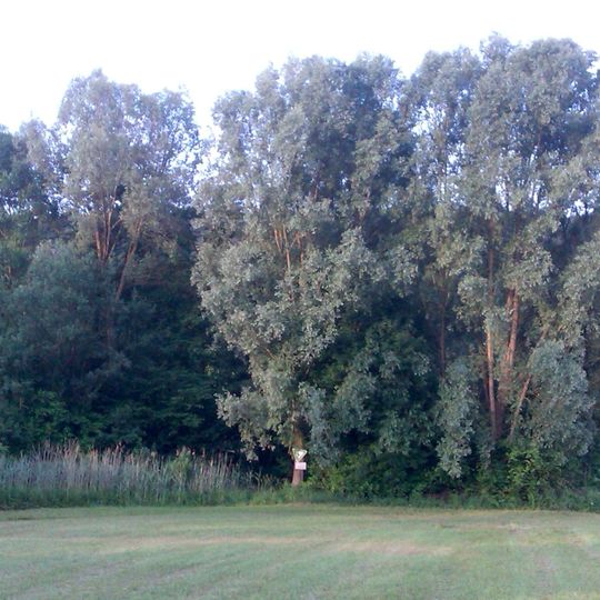 Teiche in den Bäderwiesen