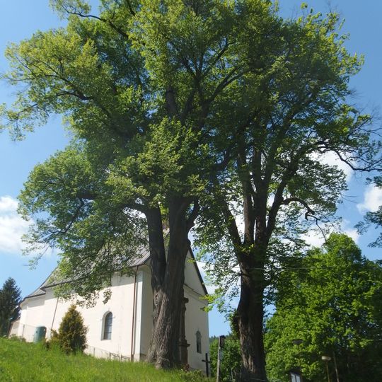 Lípy u kostela ve Zděchově