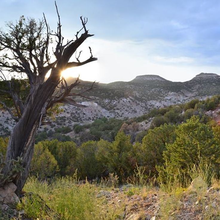 Area Fossile del Giardino dei Dinosauri