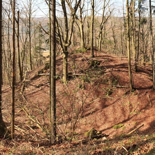 Burgstall Lichtenroth