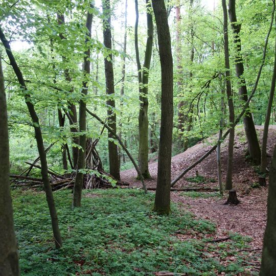 Timmerlaher Busch, Gleidinger Holz und angrenzende Landschaftsteile