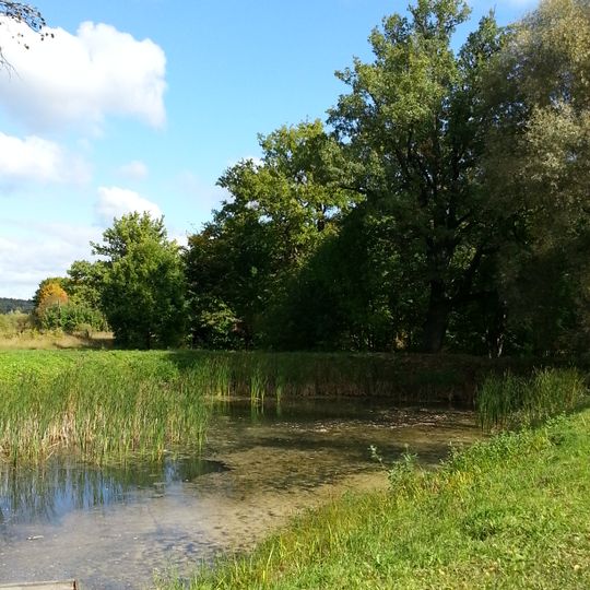 Парк с прудами