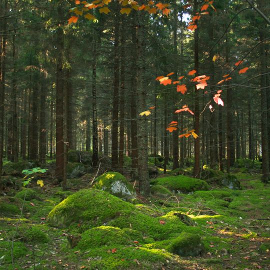 Parco nazionale Farnebofjärden