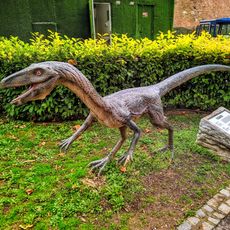 Velociraptor