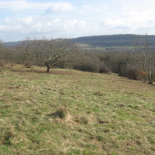 Walton Common