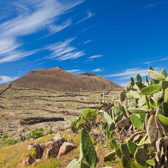 Malpaís de la Arena