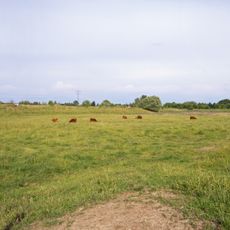 Falkenberger Rieselfelder