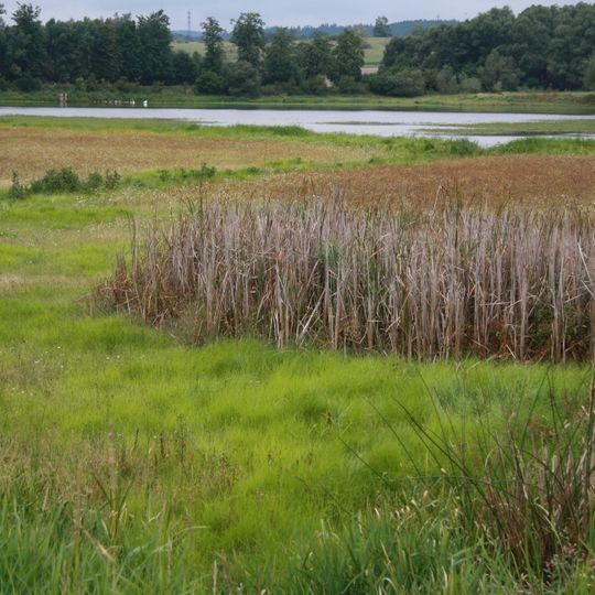 Ptáčovské rybníky