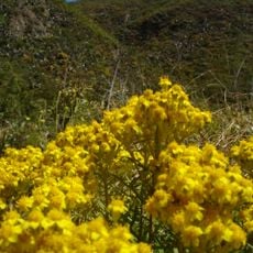 Parc d'État de Garrapata