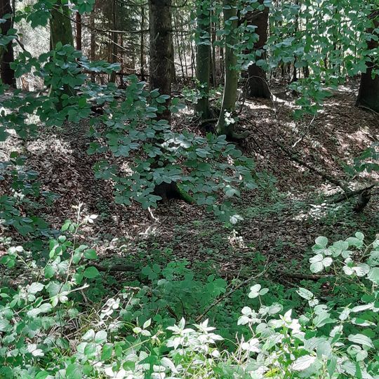 Ringwallanlage Buchberg