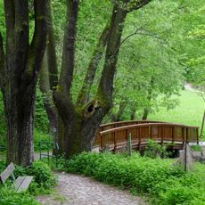 Lávka přes pravý přítok Tismenického potoka na cestě od Lipové aleje v Táboře