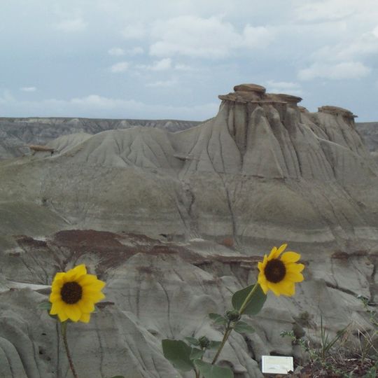 Dinosaur Provincial Park